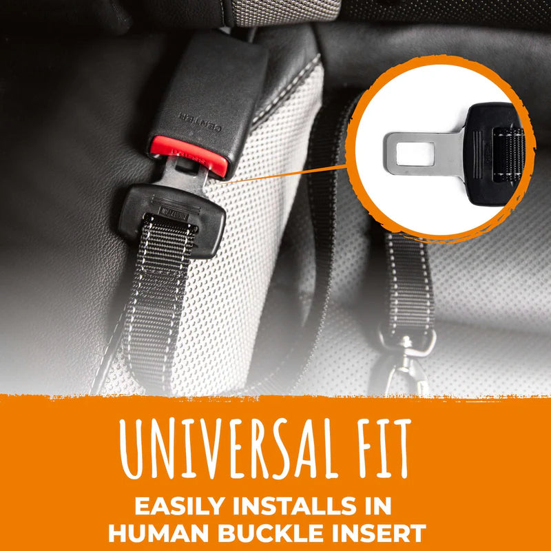 Seatbelt Clip
