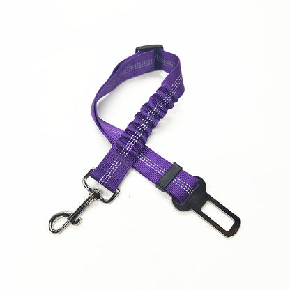 Seatbelt Clip